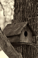 Bill's Birdhouse